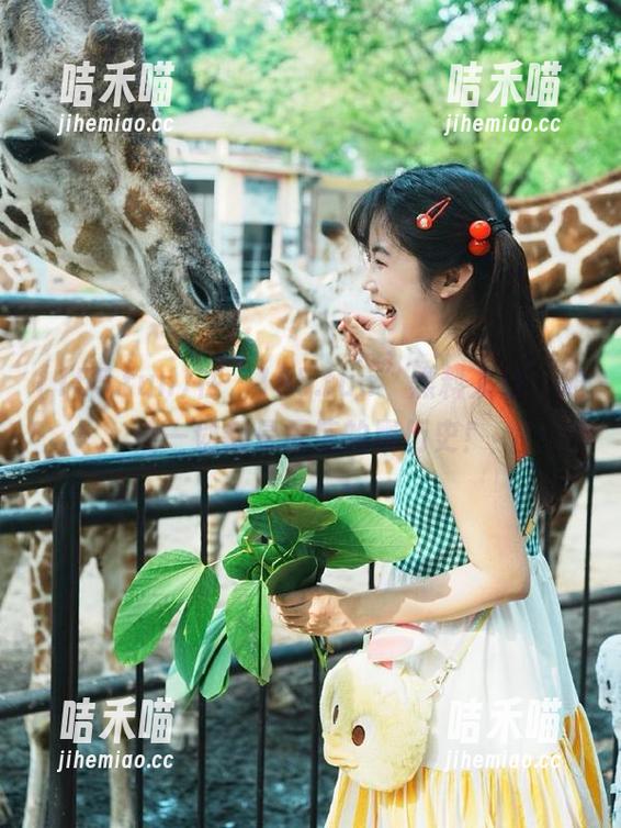 155.fun 在“155.fun”黑料入口,随便一划都是震惊的黑历史!