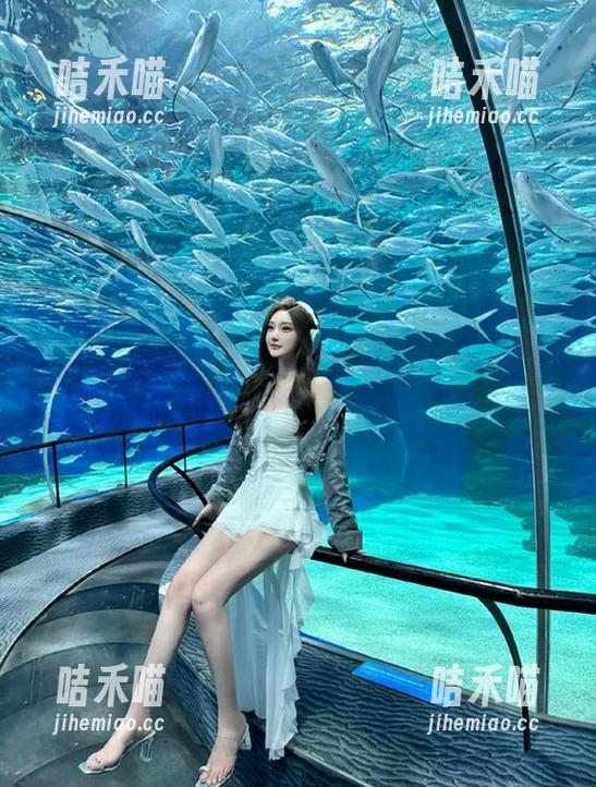 355.fun 看别人的八卦真过瘾,但355.fun才是我心里的‘密藏’名册!