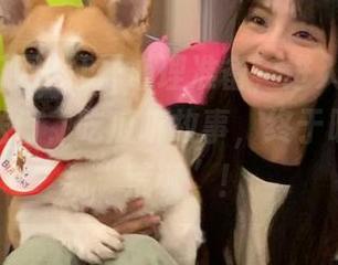 打开心理准备，进入52吃瓜网的传送门，吃瓜听故事，终于明白啥叫“荒诞”！