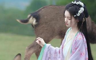 日常求生指南：如何在“91吃瓜中心”上选择最佳看瓜线路，真心想知道你们都关注啥？