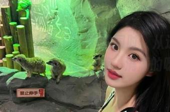下载hlw，追剧的同时，从这点滴小事中渗出的八卦味道，满满的呀！