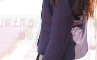 破土而出，zztt的信号如何，地址的动力到几灯亮？