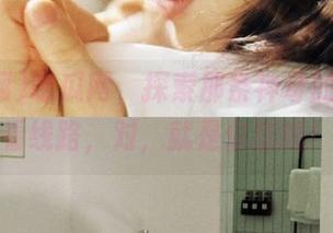 吃瓜网，探索那条神奇的免费观看线路，对，就是你想的！