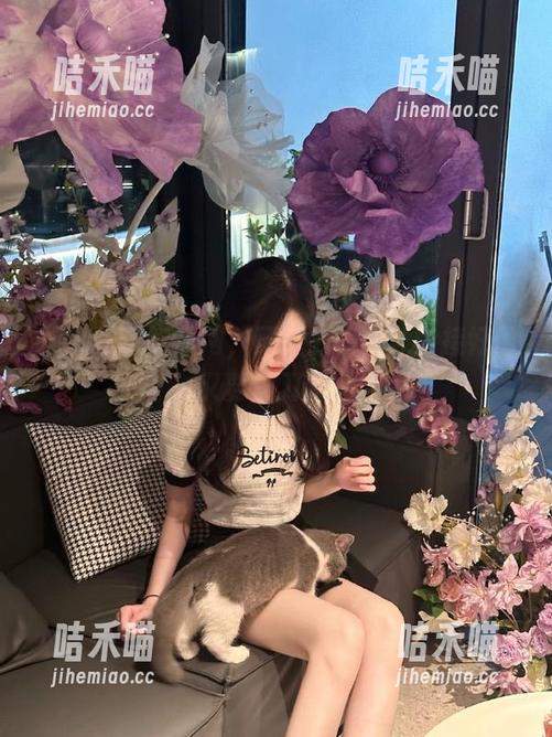 吃瓜网 吃瓜网,网页上的八卦链接好像又要磨刀了~
