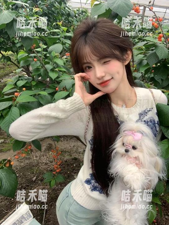 黑料网 与其导航,不如进911黑料网起个新名字,也许还能发财?